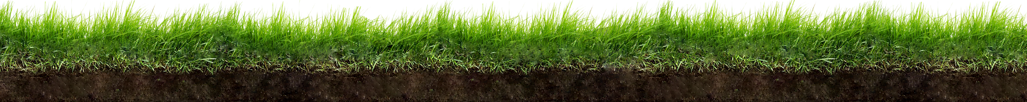 footer grass sideview